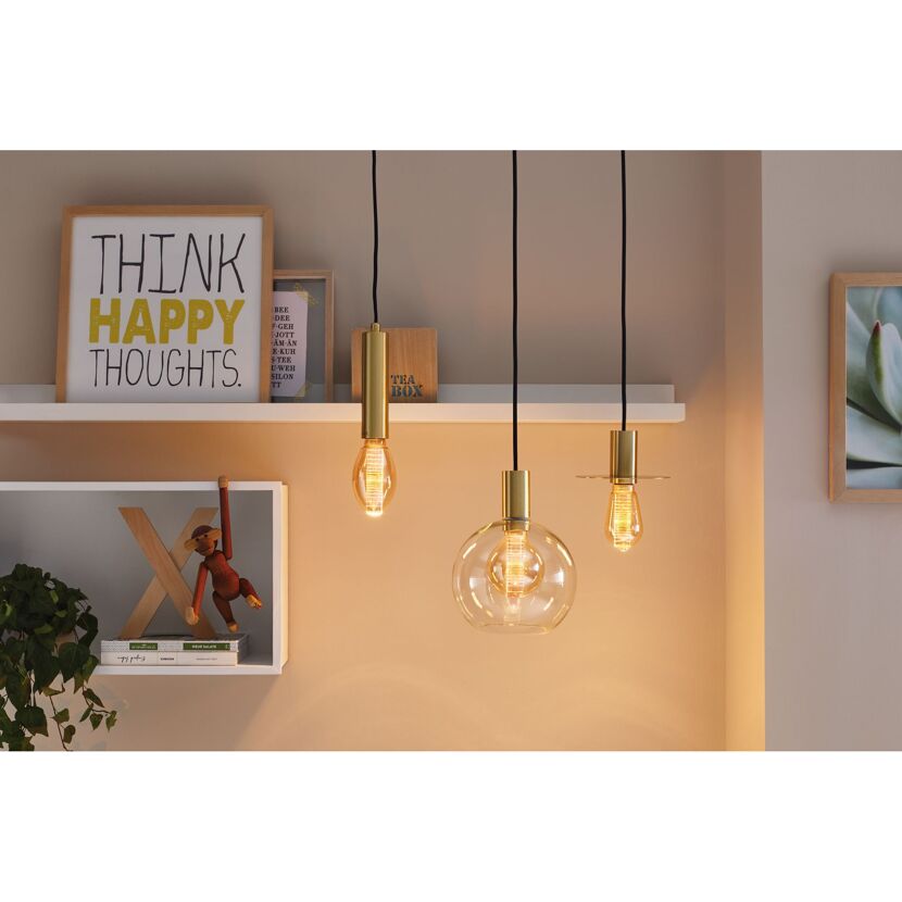Drei goldene Hängelampen mit LED Filament Leuchtmittel beleuchten ein Regal.