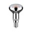 LED-Reflektor Pflanzenlampe E14 4 W 100 lm 64°