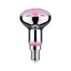 LED-Pflanzenleuchtmittel Reflektor E14 4 W 100 lm warmweiß