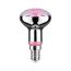 LED-Reflektor Pflanzenlampe E14 4 W 100 lm 64°