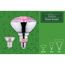 LED-Pflanzenlampe E27 6,5 W 200 lm 106°