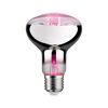 LED-Pflanzenleuchtmittel 'Plant' Reflektor E27 6,5 W 200 lm warmweiß