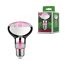 LED-Reflektor Pflanzenlampe E27 6,5 W 200 lm 60°