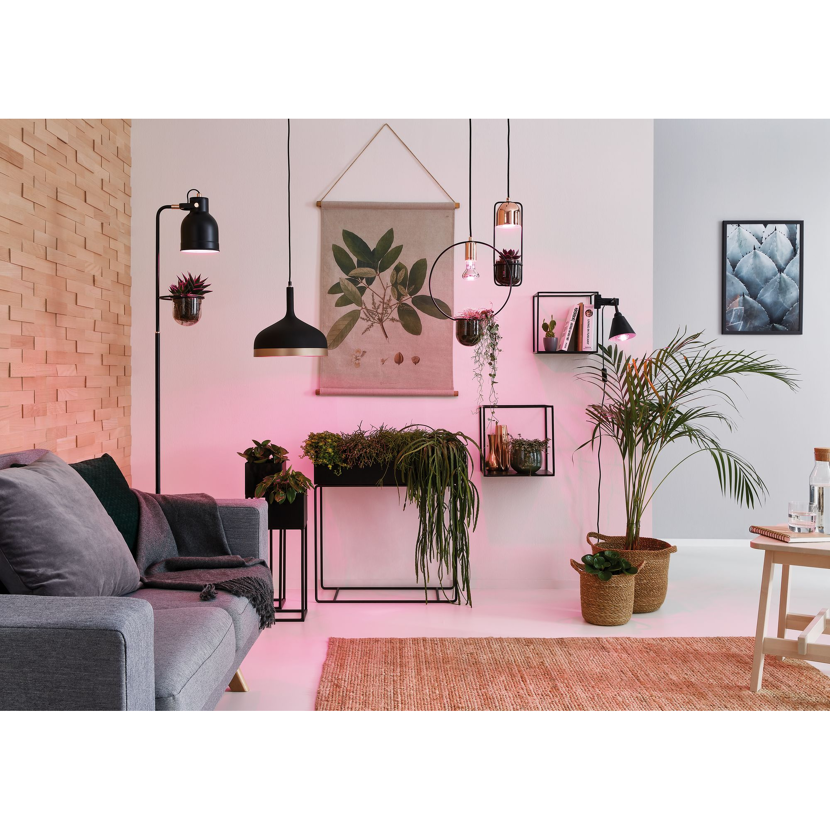 Wohnzimmer mit Pflanzen und LED-Pflanzenlampen