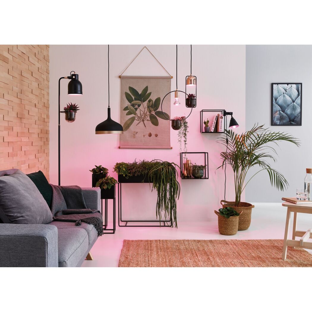 LED-Pflanzenleuchtmittel Reflektor E27 6,5 W 200 lm warmweiß