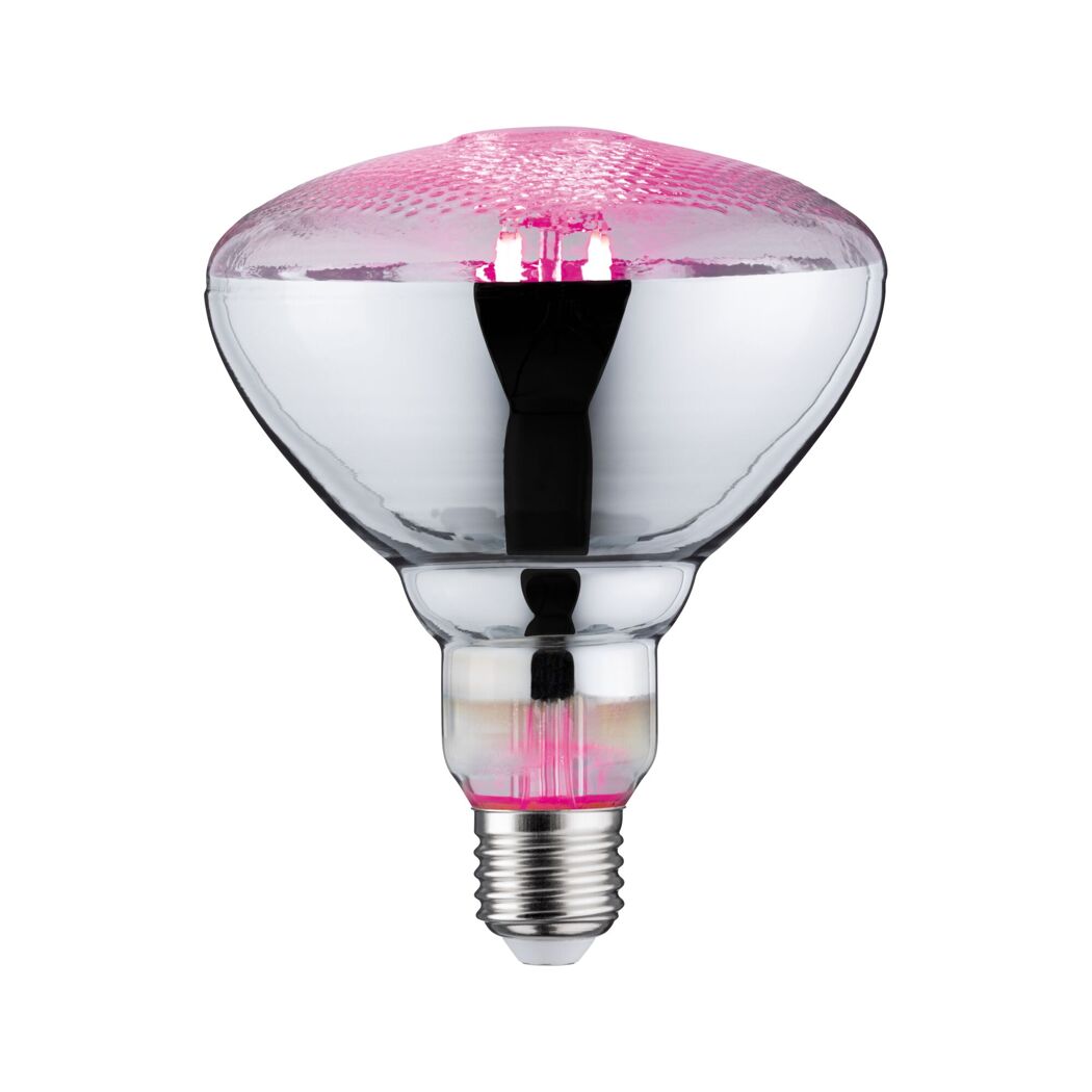 LED-Pflanzenleuchtmittel Reflektor E27 6,5 W 200 lm warmweiß