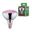 LED-Reflektor Pflanzenlampe E27 6,5 W 200 lm 115°