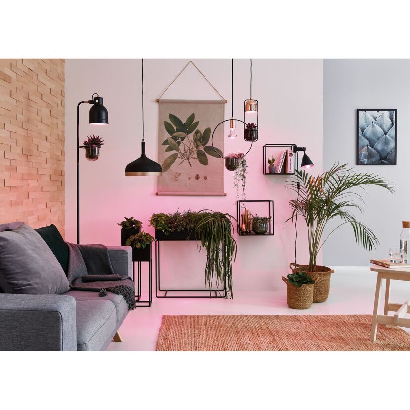 Wohnzimmer mit Pflanzen und LED-Pflanzenlampen