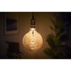 Beleuchtetes Schnurpendel mit goldener Fassung und Vintage-Glühbirne.
