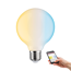 Verkleinertes Bild von LED-Globelampe ZigBee E27 7W (60W) 806 lm opal warm/tageslichtweiß