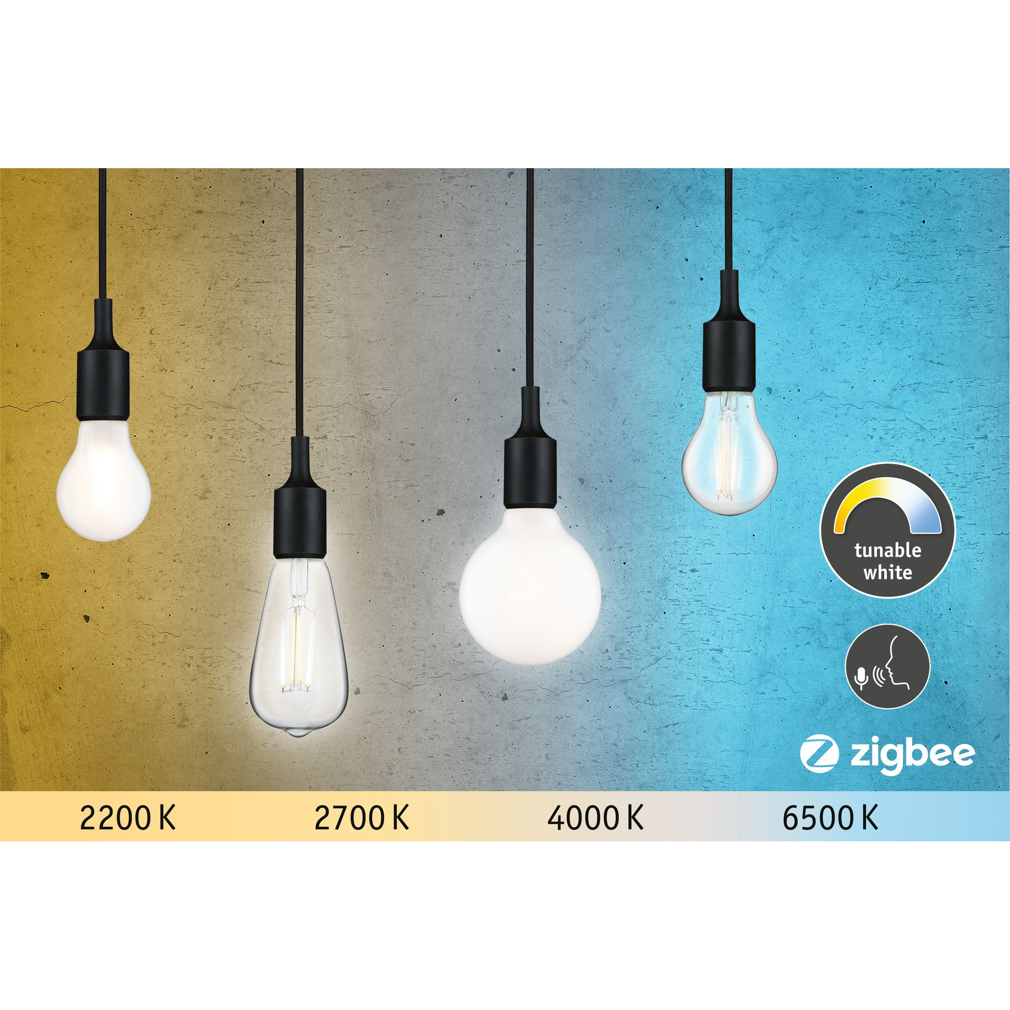 LED-Globelampe ZigBee E27 7W (60W) 806 lm opal warm/tageslichtweiß + product picture