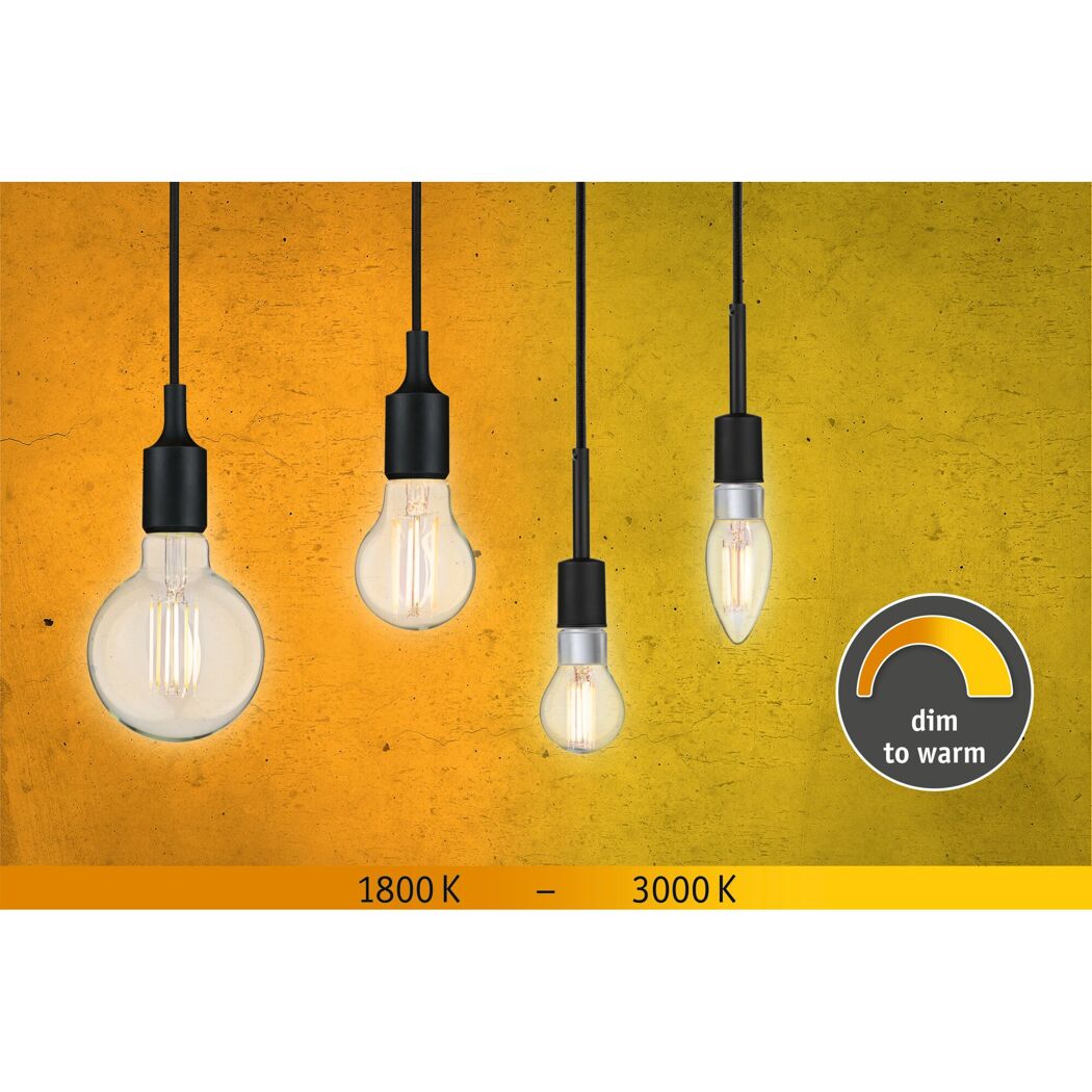 LED-Leuchtmittel dimmbar Globe E27 7 W 806 lm warmweiß