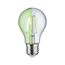 Grüne LED-Filament-Glühbirne E27