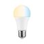 LED-Filament-Glühbirne E27, dimmbar
