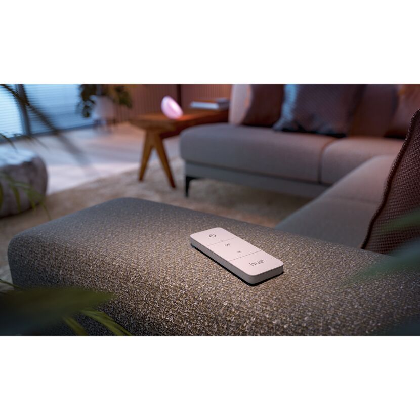 Weißer Hue Dimmschalter auf Polster im Wohnzimmer
