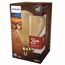 LED-Lampe 'Vintage' XL Gold E27 5 W