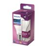 Verpackung des Philips LED-Leuchtmittels E27 tageslichtweiß