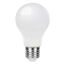 Eine matte LED-Lampe mit E27-Sockel.