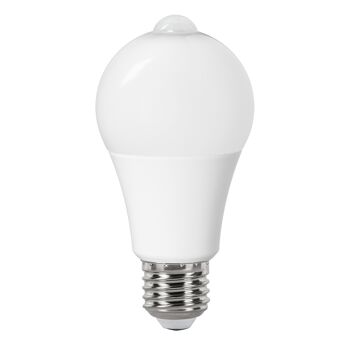 LEDLampen online bestellen toom Baumarkt