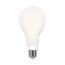 LED-Lampe E27, matt