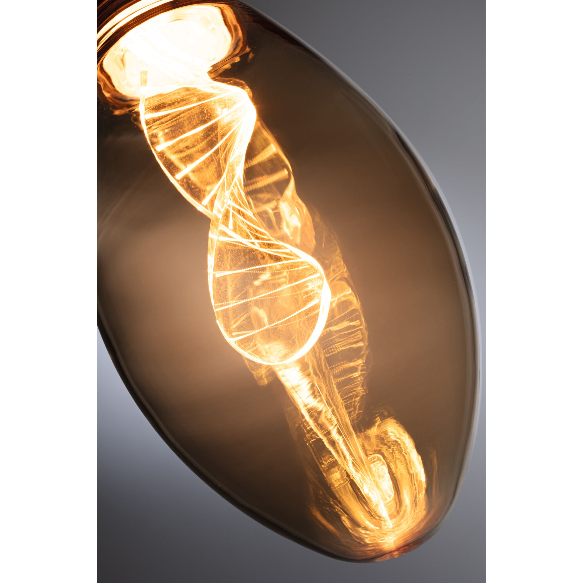 LED-Birne B75 'Inner Glow Helix' E27 3,5 W 180 lm gold + product picture