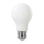 Eine matte LED-Lampe mit E27-Sockel.