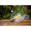 LED-Leuchtmittel Classic klar auf Holz mit Pflanzen