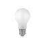 eine matte LED-Lampe