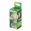 LED-Leuchtmittel E14 2,2 W 470 lm