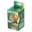 LED-Leuchtmittel klar 4,9 W 1055 lm