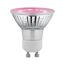 LED-Reflektor GU10 3,5 W 95 lm