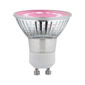 LED-Pflanzenleuchtmittel 'Plant' Reflektor GU10 3,5 W 95 lm warmweiß