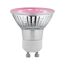 Pinke LED-Lampe
