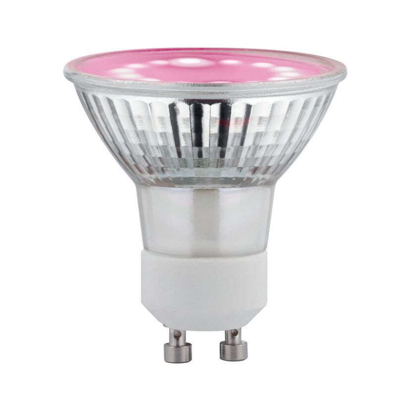 Pinke LED-Lampe