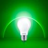 LED-Leuchtmittel 'Classic' dimmbar Standardform matt E27 100 W 1535 lm warmweiß