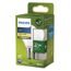 LED-Leuchtmittel 'Classic' P45 E14 2,3 W 485 lm matt