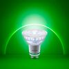 LED-Leuchtmittel dimmbar Reflektor klar GU10 50 W 400 lm warmweiß