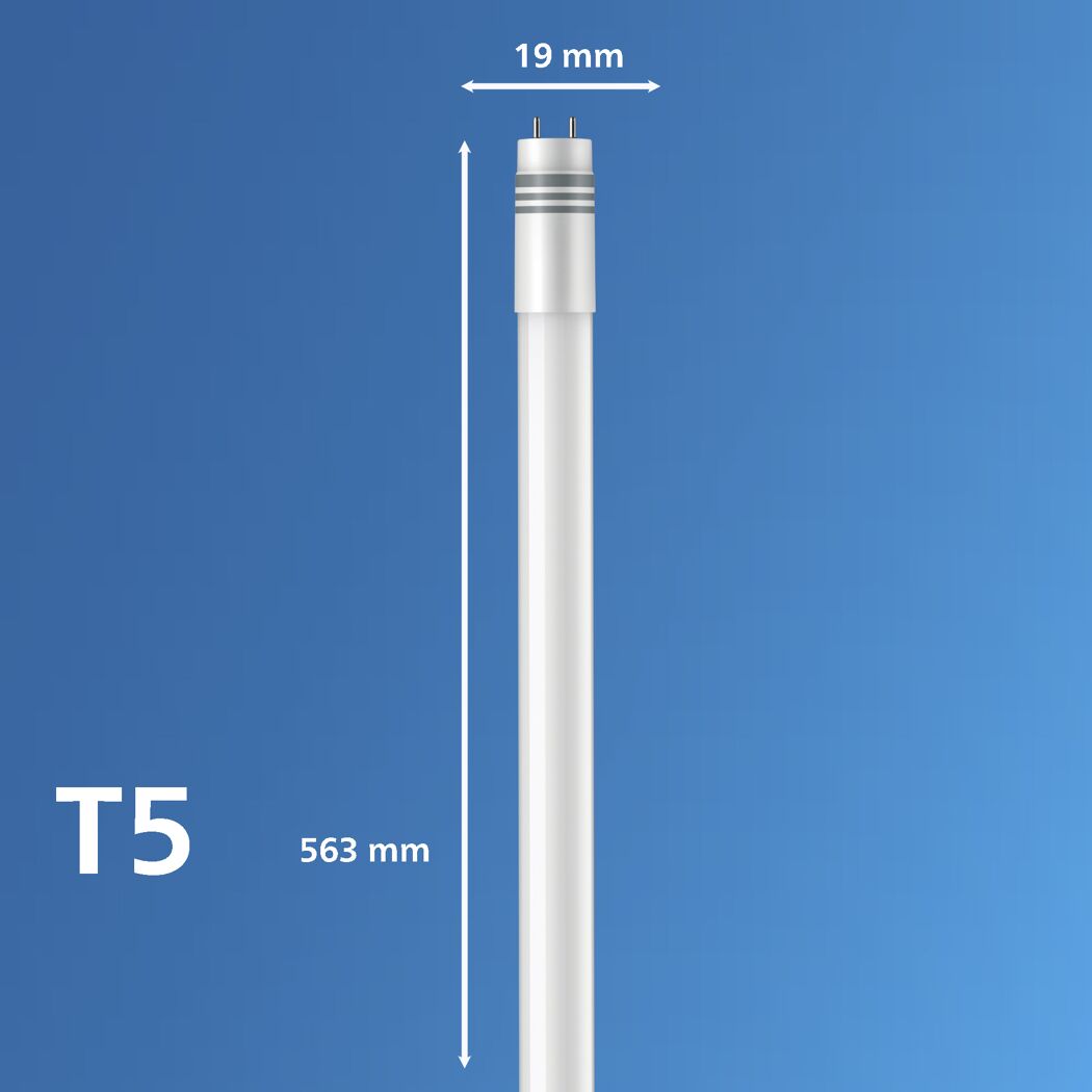 T5 LED-Leuchtmittel G5 mit 19x563 mm Maßen auf blauem Grund.