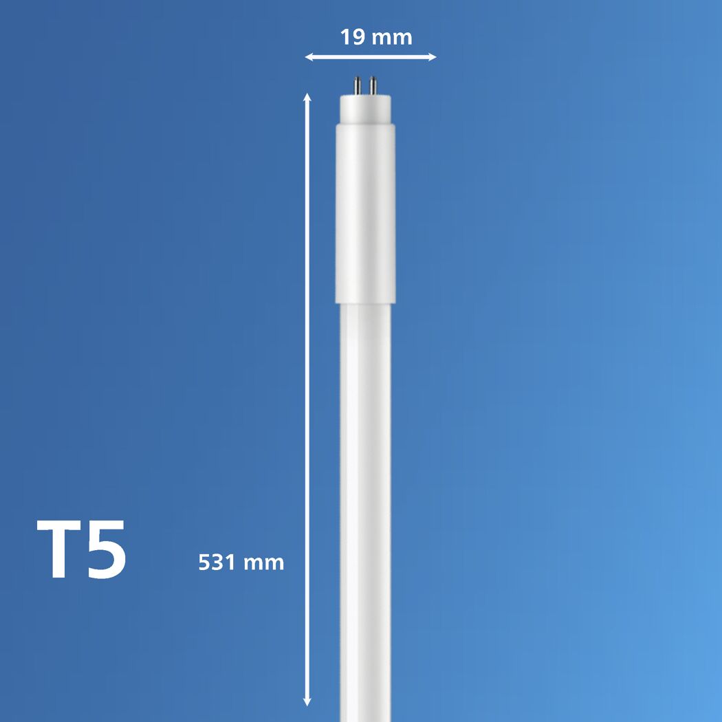 LED-Leuchtmittel T5 mit Maßen 19 mm und 531 mm