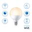 LED-Leuchtmittel G95 E27 75 W 1055 lm matt dimmbar