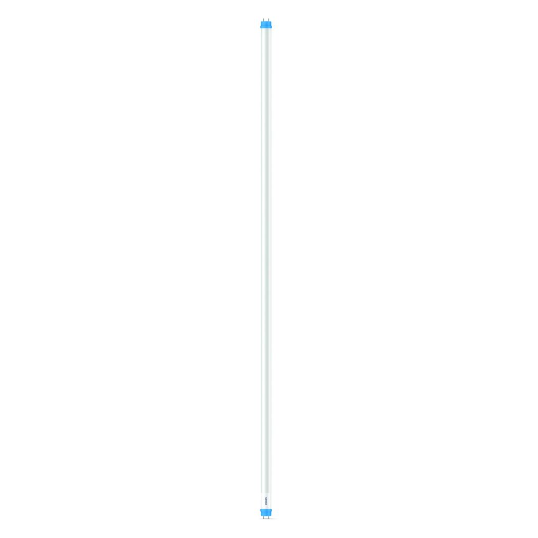 LED-Leuchtmittel 'T8' matt