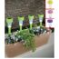 Solarleuchten im Blumenkasten