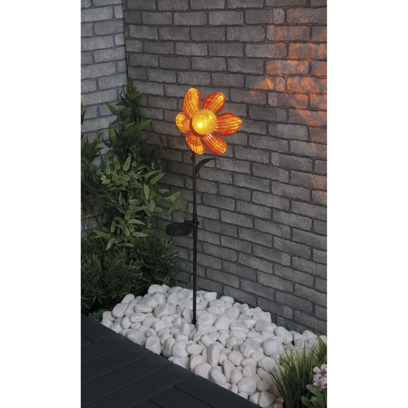 Solarfackel Lotusblume