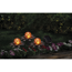 Verkleinertes Bild von LED-Solar-Bodenlichterkette 'Lotusblüte' 3 LEDs warmweiß 3 m