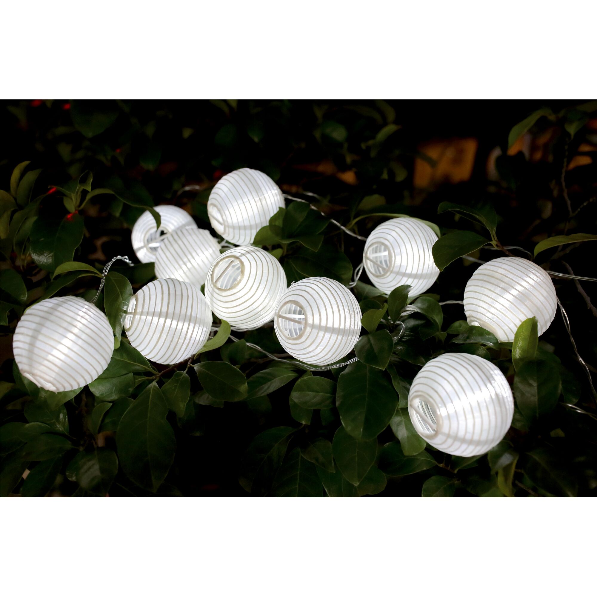 Weiße Lampions hängen an einer Lichterkette