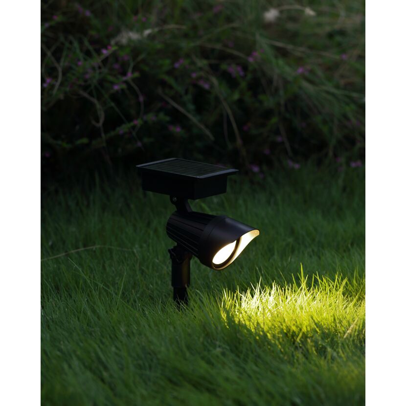 Solarstrahler beleuchtet Rasenfläche