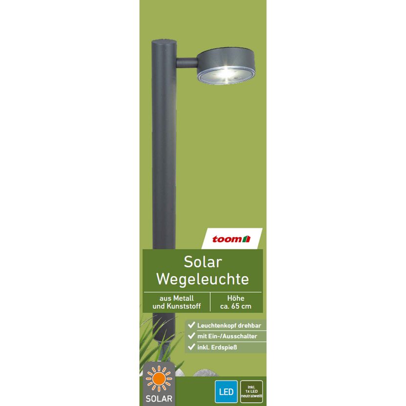 Solar-Wegeleuchte mit Erdspieß