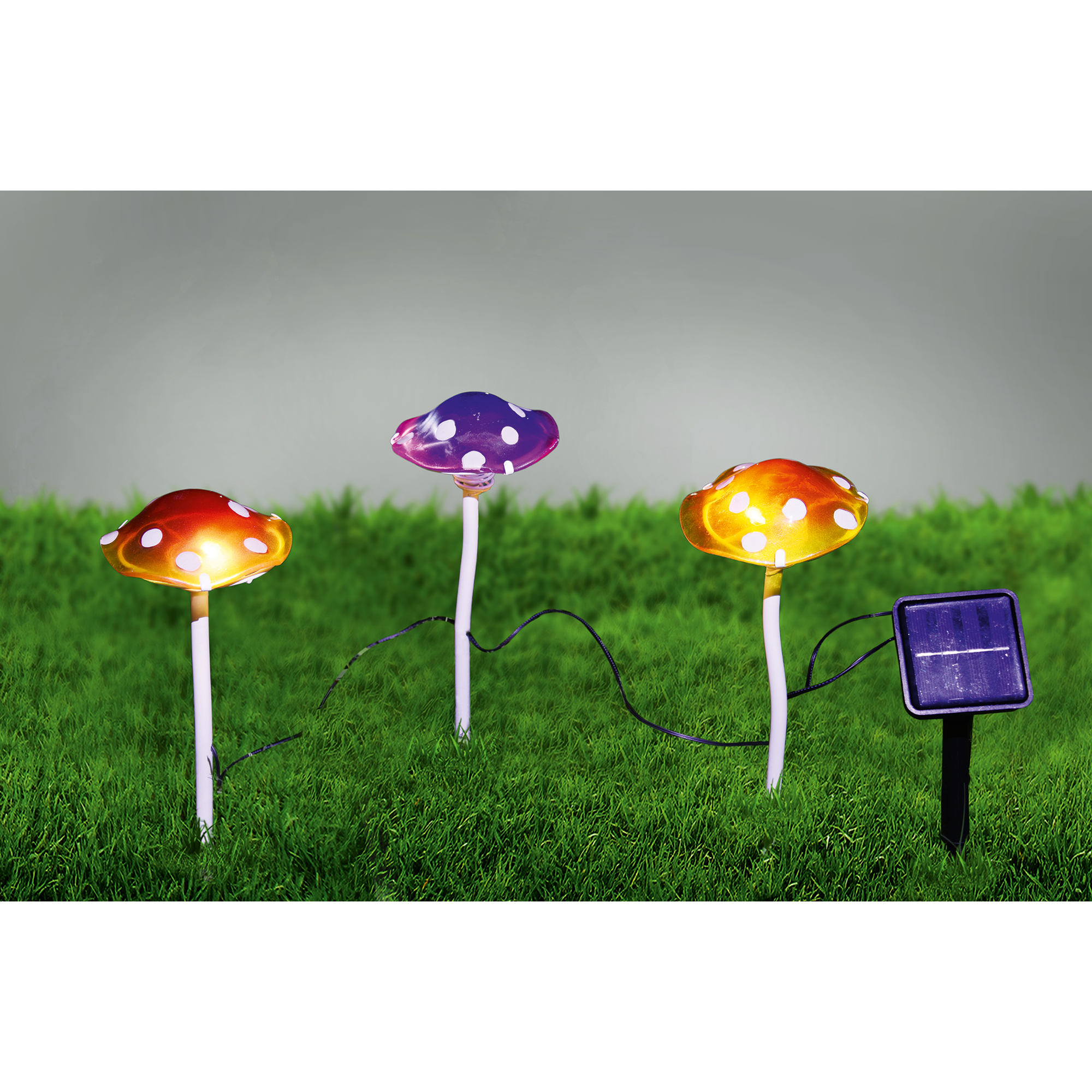 Solar-Dekoleuchte Pilze bunt 3 Stück + product picture