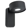 Schwarze Außenwandleuchte Palosco
