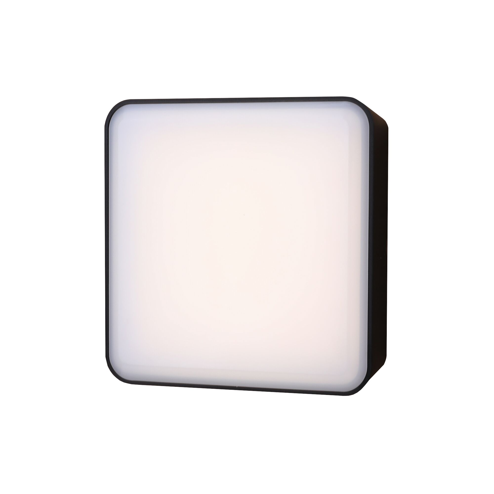 Schwarze Außenwandleuchte Warschau mit weißem Leuchtmittel